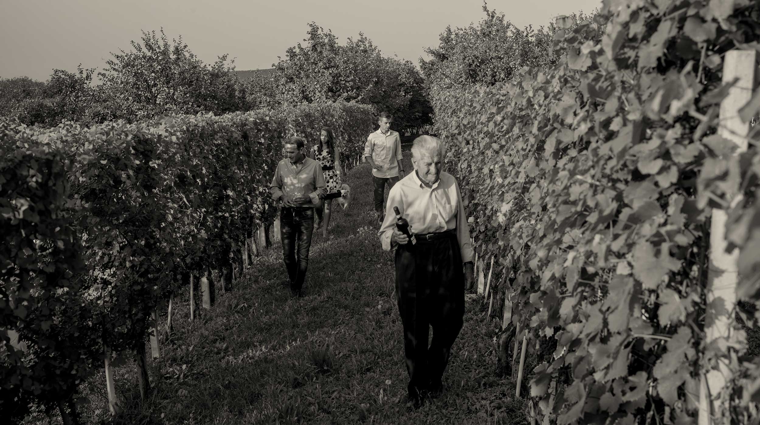 Famiglia Sobrero Cammina nei vigneti di Montelupo Albese Famiglia Sobrero Cammina nei vigneti di Montelupo Albese